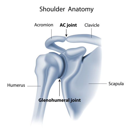 AC Arthritis of the Shoulder Joint